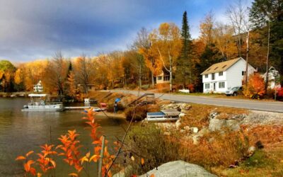 Unpacking What Makes NH Unique in Addiction Recovery Options